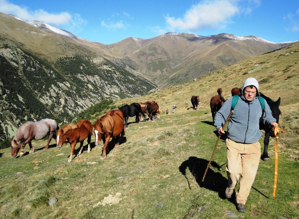 La Cabanya De Cal Forn De Serrat Queralbs Extérieur photo