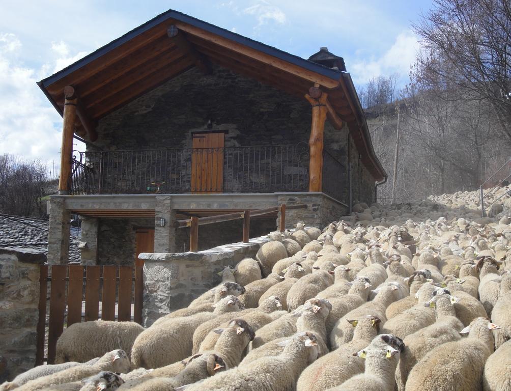 La Cabanya De Cal Forn De Serrat Queralbs Extérieur photo